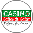 logo Salies-du-Salat