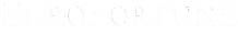 EuroFortune Brand logo