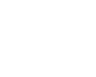 LadyLucks Brand logo