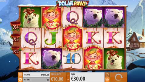 Screenshot of Polar Paws on computer