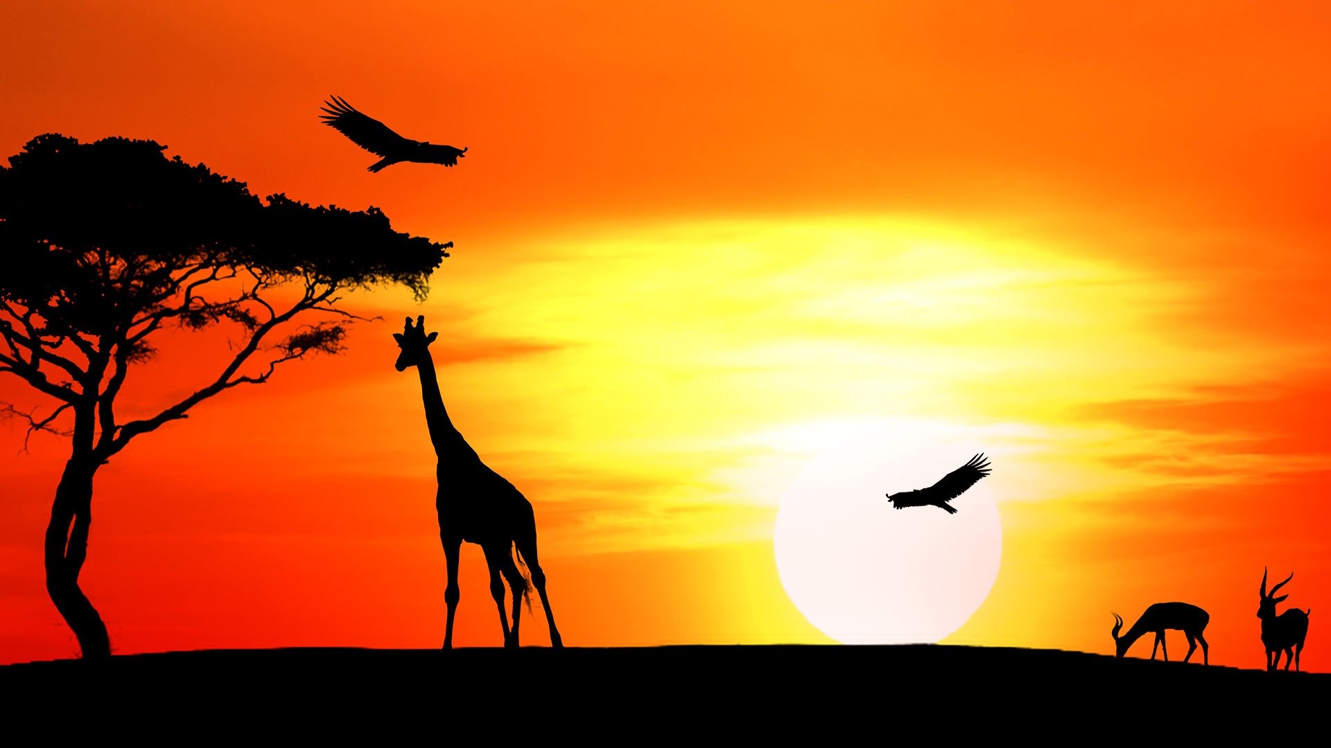 Game hight resolution background Legends of Africa