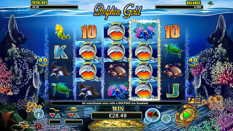 Dolphin Gold Screenshot