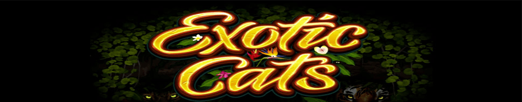 Exotic Cats Review