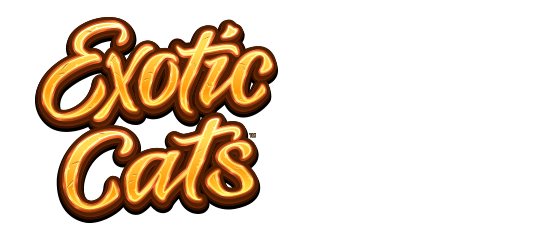game logo Exotic Cats