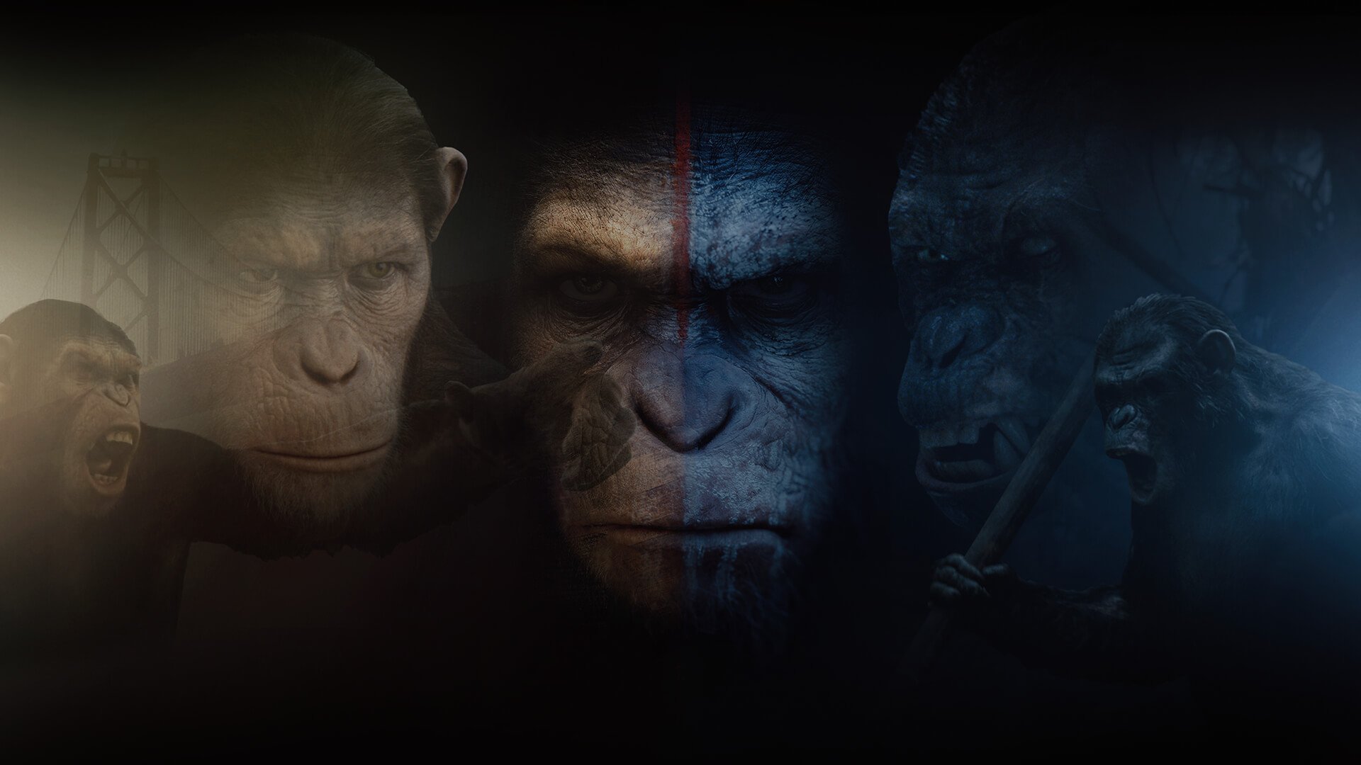 Game hight resolution background Planet of the Apes