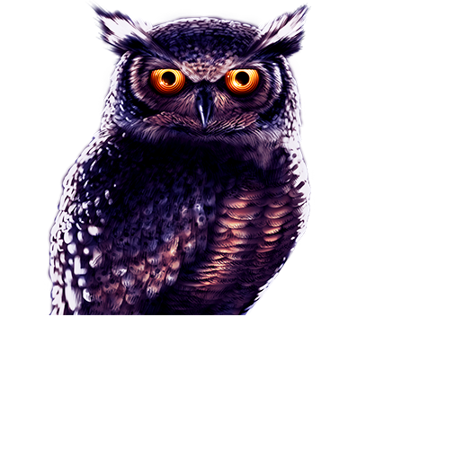 Owl Eyes Character