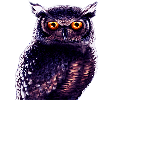 Owl Eyes Character