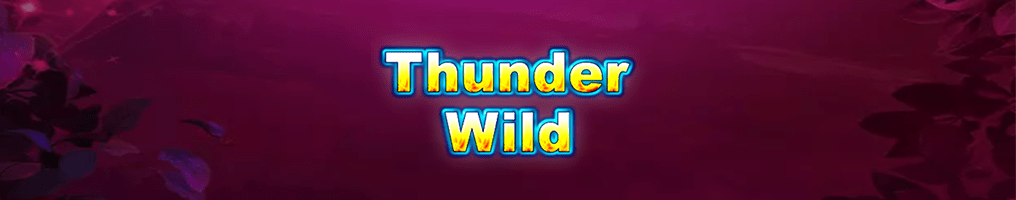 Thunder Wild Review