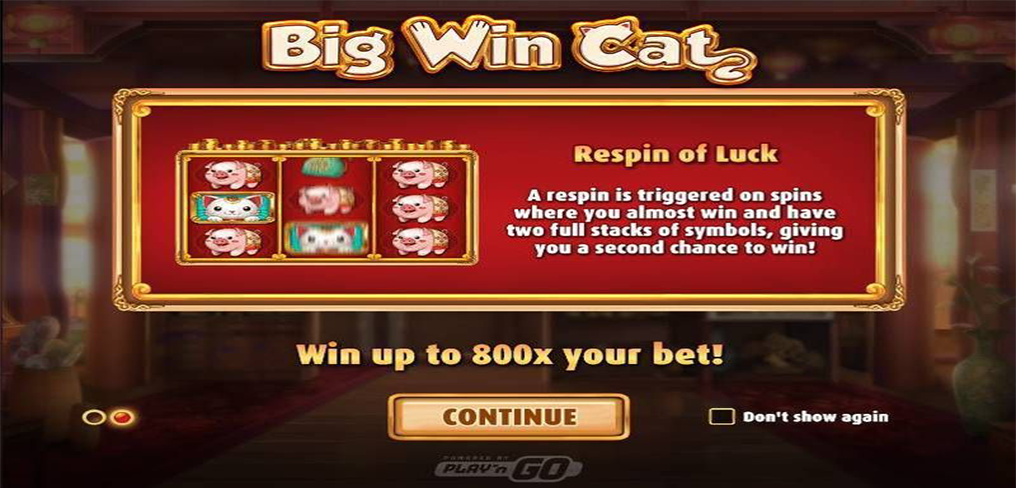Big Win Cat 