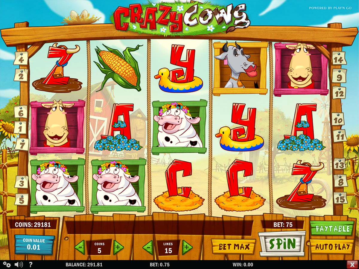 Crazy Cows Screenshot