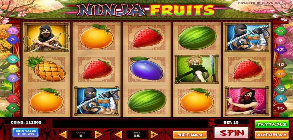 Ninja Fruits screenshot