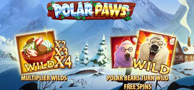 Features of Polar Paws