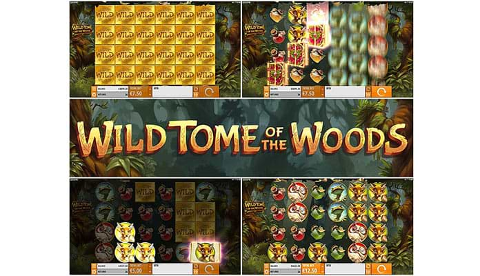 Screenshots of the Wild Tome of the Woods slot machine