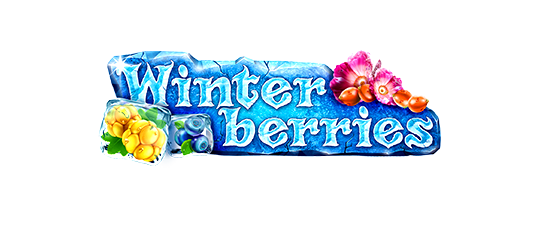 game logo Winterberries