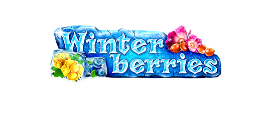 game logo Winterberries