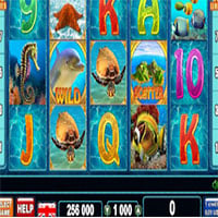 Coral Island slot machine wild