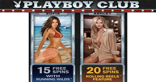 playboy slot machine free spins