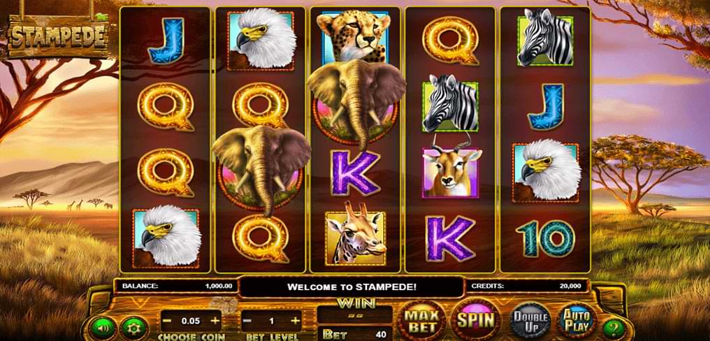 Stampede slot machine bonus