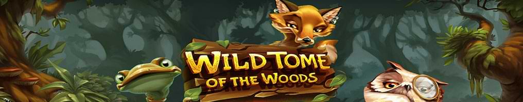 Screenshots of the Wild Tome of the Woods Review