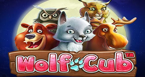 Wolf Cub slot machine review