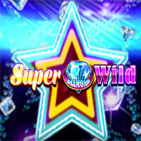 Super diamond wild slot machine RTP