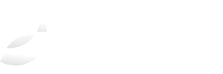 Logo provider Evolution Gaming