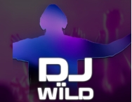 game background DJ Wild