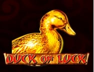 Game thumbs Duck of Luck