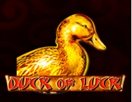 game background Duck of Luck