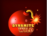 game background Dynamite Wild