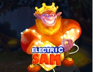 game background Electric Sam