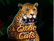 game background Exotic Cats