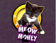 game background Meow Money