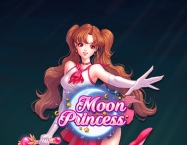 game background Moon Princess