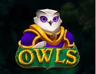 game background Owls