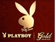 game background Playboy Gold