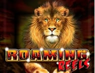 game background Roaming Reels
