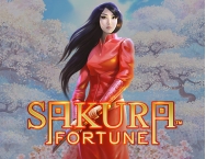 game background Sakura Fortune