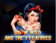 game background Snow Wild and the 7 Features