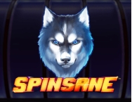 game background Spinsane