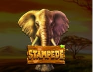 game background Stampede