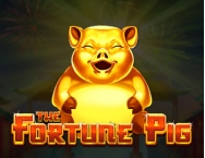 game background The Fortune Pig