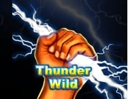 Game thumbs Thunder Wild