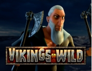 game background Vikings Go Wild