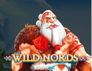 Game thumbs Wild Nords