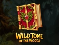 Game thumbs Wild Tome of The Woods
