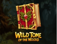 Game thumbs Wild Tome of The Woods